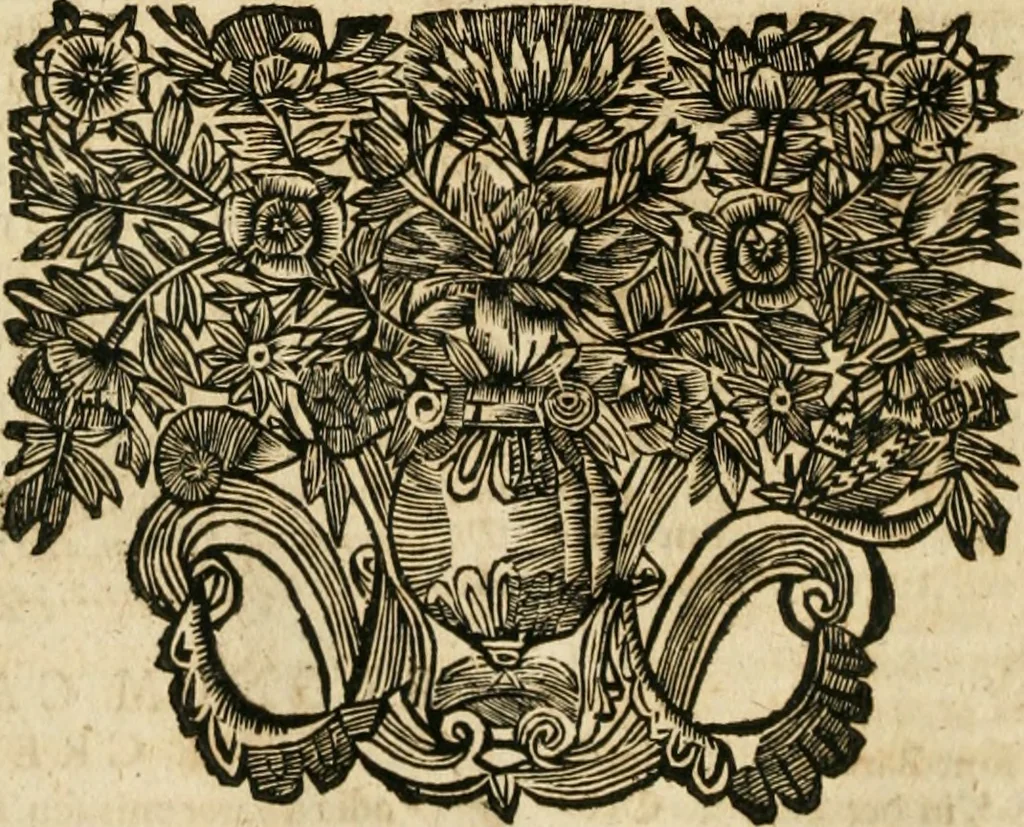 An illustration from De statu publico Europae novissimo tractatus, in quo unà cùm aliis nobilissimis atque utilissimis materiis juris publici, practici magis, quàm speculativi, illustres controversiae, praetensiones, judicia politica, praecedentiarum quaestiones & decisiones, tàm in comitiis imperii, quàm alibi agitatae, reperiuntur. Quibus insuper accesserunt, instar commentarii, paratitla de aurea bulla, recessibus imperii, ordinatione camerali, pace religiosa & profana, item capitulatione caesarea, 1675, leaf 353