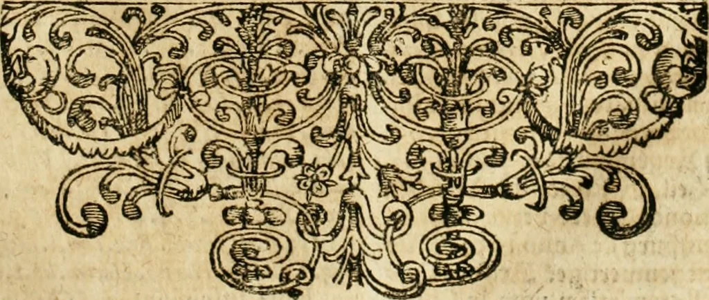 An illustration from De statu publico Europae novissimo tractatus, in quo unà cùm aliis nobilissimis atque utilissimis materiis juris publici, practici magis, quàm speculativi, illustres controversiae, praetensiones, judicia politica, praecedentiarum quaestiones & decisiones, tàm in comitiis imperii, quàm alibi agitatae, reperiuntur. Quibus insuper accesserunt, instar commentarii, paratitla de aurea bulla, recessibus imperii, ordinatione camerali, pace religiosa & profana, item capitulatione caesarea, 1675, leaf 46
