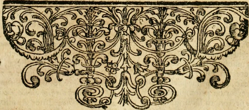 An illustration from De statu publico Europae novissimo tractatus, in quo unà cùm aliis nobilissimis atque utilissimis materiis juris publici, practici magis, quàm speculativi, illustres controversiae, praetensiones, judicia politica, praecedentiarum quaestiones & decisiones, tàm in comitiis imperii, quàm alibi agitatae, reperiuntur. Quibus insuper accesserunt, instar commentarii, paratitla de aurea bulla, recessibus imperii, ordinatione camerali, pace religiosa & profana, item capitulatione caesarea, 1675, leaf 52