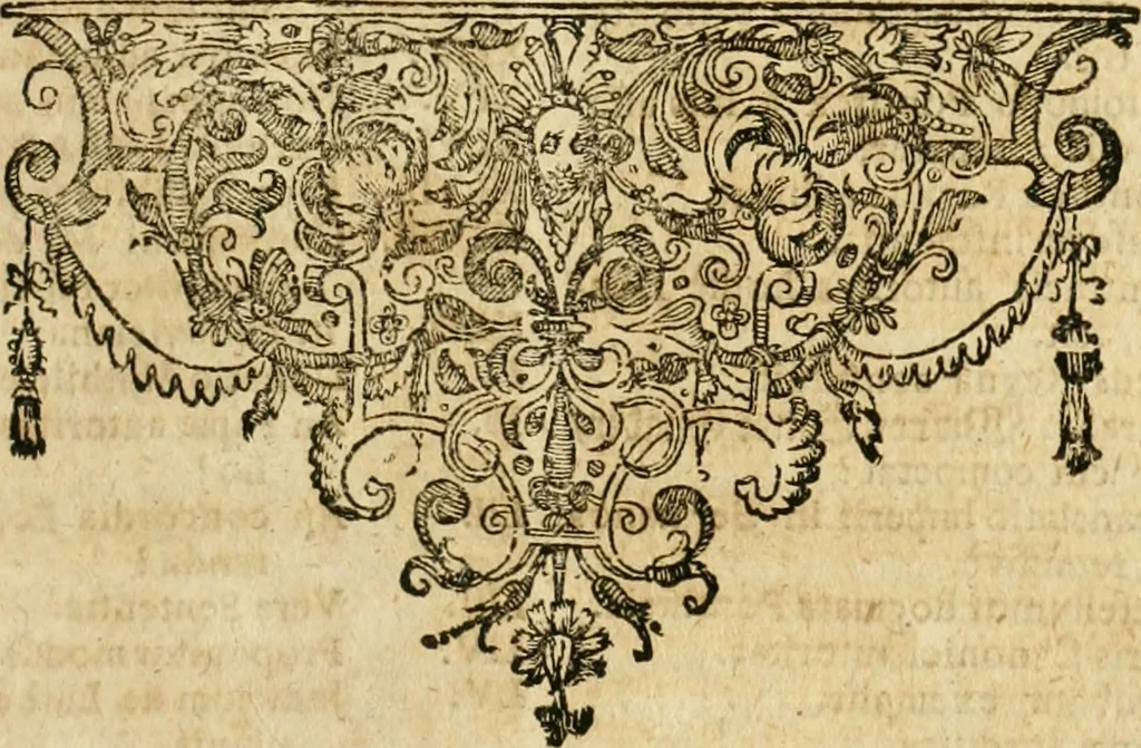 An illustration from De statu publico Europae novissimo tractatus, in quo unà cùm aliis nobilissimis atque utilissimis materiis juris publici, practici magis, quàm speculativi, illustres controversiae, praetensiones, judicia politica, praecedentiarum quaestiones & decisiones, tàm in comitiis imperii, quàm alibi agitatae, reperiuntur. Quibus insuper accesserunt, instar commentarii, paratitla de aurea bulla, recessibus imperii, ordinatione camerali, pace religiosa & profana, item capitulatione caesarea, 1675, leaf 54