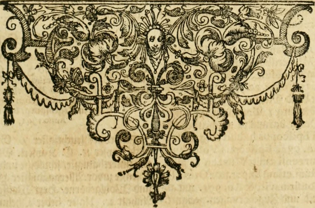 An illustration from De statu publico Europae novissimo tractatus, in quo unà cùm aliis nobilissimis atque utilissimis materiis juris publici, practici magis, quàm speculativi, illustres controversiae, praetensiones, judicia politica, praecedentiarum quaestiones & decisiones, tàm in comitiis imperii, quàm alibi agitatae, reperiuntur. Quibus insuper accesserunt, instar commentarii, paratitla de aurea bulla, recessibus imperii, ordinatione camerali, pace religiosa & profana, item capitulatione caesarea, 1675, leaf 546