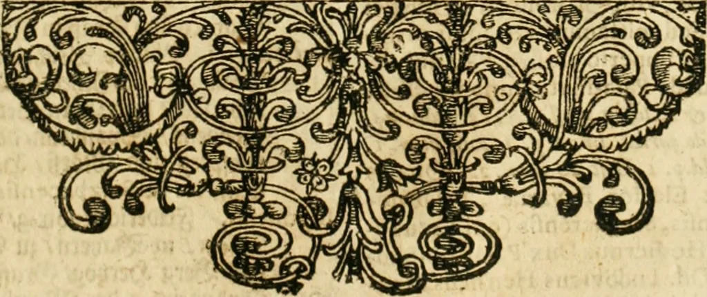 An illustration from De statu publico Europae novissimo tractatus, in quo unà cùm aliis nobilissimis atque utilissimis materiis juris publici, practici magis, quàm speculativi, illustres controversiae, praetensiones, judicia politica, praecedentiarum quaestiones & decisiones, tàm in comitiis imperii, quàm alibi agitatae, reperiuntur. Quibus insuper accesserunt, instar commentarii, paratitla de aurea bulla, recessibus imperii, ordinatione camerali, pace religiosa & profana, item capitulatione caesarea, 1675, leaf 754