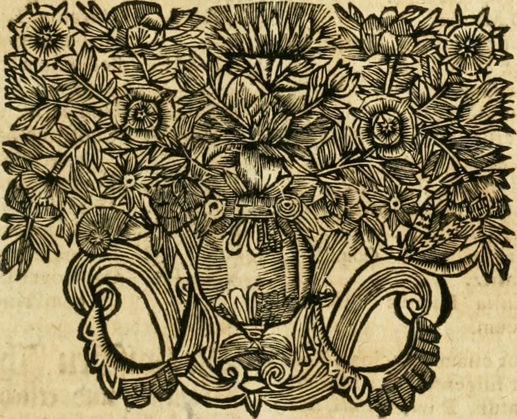 An illustration from De statu publico Europae novissimo tractatus, in quo unà cùm aliis nobilissimis atque utilissimis materiis juris publici, practici magis, quàm speculativi, illustres controversiae, praetensiones, judicia politica, praecedentiarum quaestiones & decisiones, tàm in comitiis imperii, quàm alibi agitatae, reperiuntur. Quibus insuper accesserunt, instar commentarii, paratitla de aurea bulla, recessibus imperii, ordinatione camerali, pace religiosa & profana, item capitulatione caesarea, 1675, leaf 776