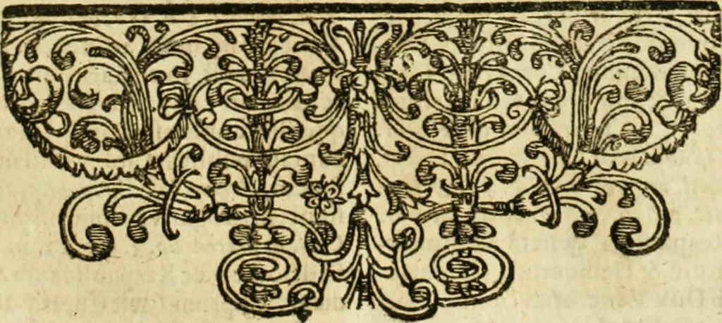 An illustration from De statu publico Europae novissimo tractatus, in quo unà cùm aliis nobilissimis atque utilissimis materiis juris publici, practici magis, quàm speculativi, illustres controversiae, praetensiones, judicia politica, praecedentiarum quaestiones & decisiones, tàm in comitiis imperii, quàm alibi agitatae, reperiuntur. Quibus insuper accesserunt, instar commentarii, paratitla de aurea bulla, recessibus imperii, ordinatione camerali, pace religiosa & profana, item capitulatione caesarea, 1675, leaf 810