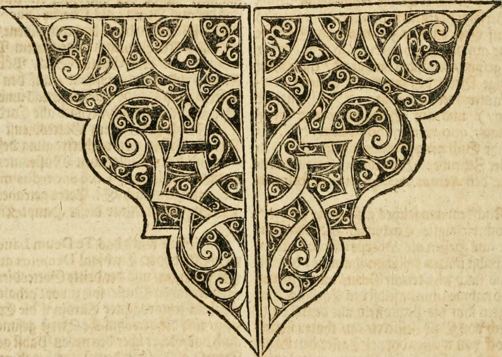 An illustration from De statu publico Europae novissimo tractatus, in quo unà cùm aliis nobilissimis atque utilissimis materiis juris publici, practici magis, quàm speculativi, illustres controversiae, praetensiones, judicia politica, praecedentiarum quaestiones & decisiones, tàm in comitiis imperii, quàm alibi agitatae, reperiuntur. Quibus insuper accesserunt, instar commentarii, paratitla de aurea bulla, recessibus imperii, ordinatione camerali, pace religiosa & profana, item capitulatione caesarea, 1675, leaf 85