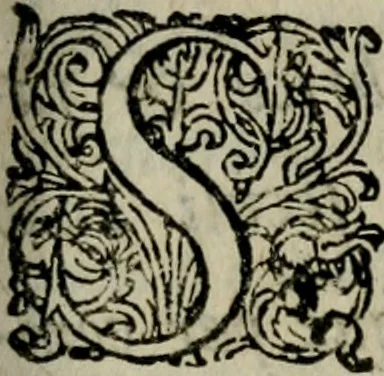 An illustration from De stolatæ virginitatis jure lucubratio academica, 1680, leaf 6