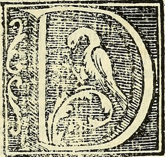 An illustration from De strigimagarvm demonvmq; : mirandis libri tres, 1521, leaf 10