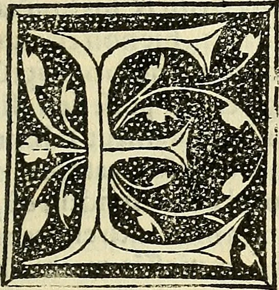 An illustration from De strigimagarvm demonvmq; : mirandis libri tres, 1521, leaf 150