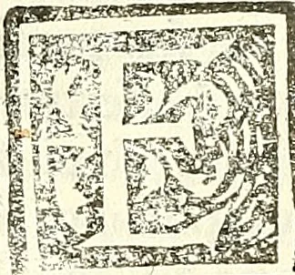 An illustration from De strigimagarvm demonvmq; : mirandis libri tres, 1521, leaf 177