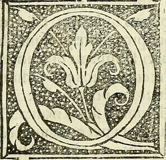 An illustration from De strigimagarvm demonvmq; : mirandis libri tres, 1521, leaf 250