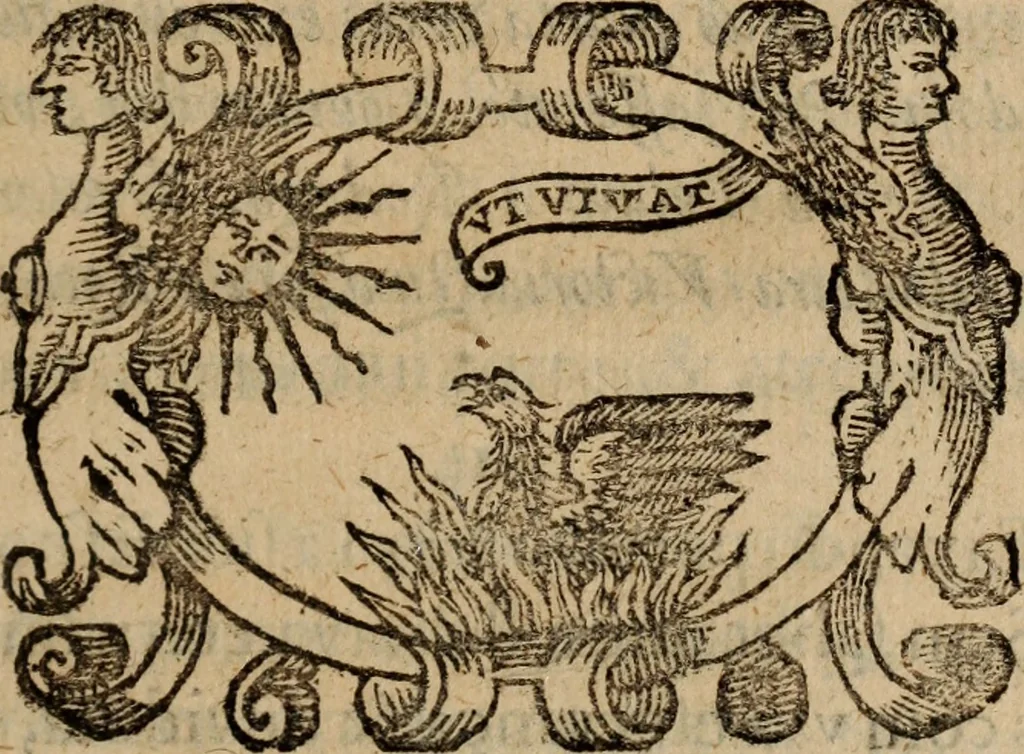 An illustration from A destruiçam de Espanha, restauraçam summaria da mesma, 1671, leaf 166