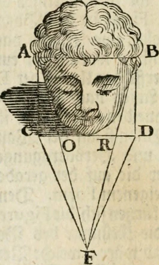 An illustration from Des vortreflichen Florentinischen Mahlers Lionardo da Vinci höchst-nützlicher Tractat von der Mahlerey : aus dem Italiänischen und Frantzöischen in das Teutsche übersetzet : auch nach dem Original mit vielen Kupfern und saubern Holtzschnitten versehen : und mit beygefügten Leben des Auctoris zum Druck befördert, 1747, leaf 157