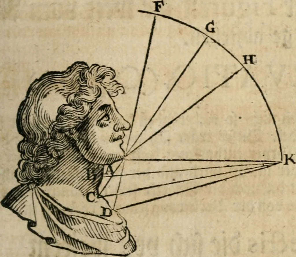 An illustration from Des vortreflichen Florentinischen Mahlers Lionardo da Vinci höchst-nützlicher Tractat von der Mahlerey : aus dem Italiänischen und Frantzöischen in das Teutsche übersetzet : auch nach dem Original mit vielen Kupfern und saubern Holtzschnitten versehen : und mit beygefügten Leben des Auctoris zum Druck befördert, 1747, leaf 166