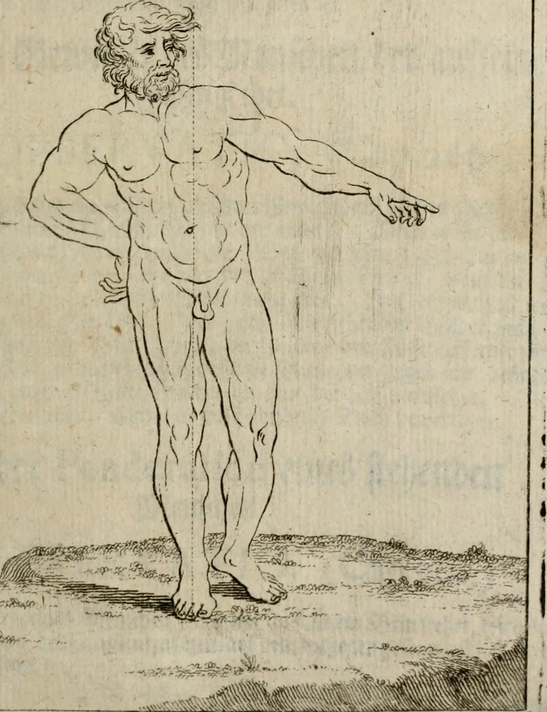 An illustration from Des vortreflichen Florentinischen Mahlers Lionardo da Vinci höchst-nützlicher Tractat von der Mahlerey : aus dem Italiänischen und Frantzöischen in das Teutsche übersetzet : auch nach dem Original mit vielen Kupfern und saubern Holtzschnitten versehen : und mit beygefügten Leben des Auctoris zum Druck befördert, 1747, leaf 62