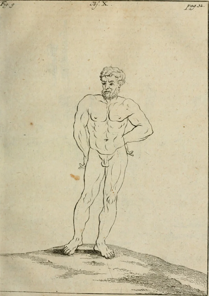 An illustration from Des vortreflichen Florentinischen Mahlers Lionardo da Vinci höchst-nützlicher Tractat von der Mahlerey : aus dem Italiänischen und Frantzöischen in das Teutsche übersetzet : auch nach dem Original mit vielen Kupfern und saubern Holtzschnitten versehen : und mit beygefügten Leben des Auctoris zum Druck befördert, 1747, leaf 72