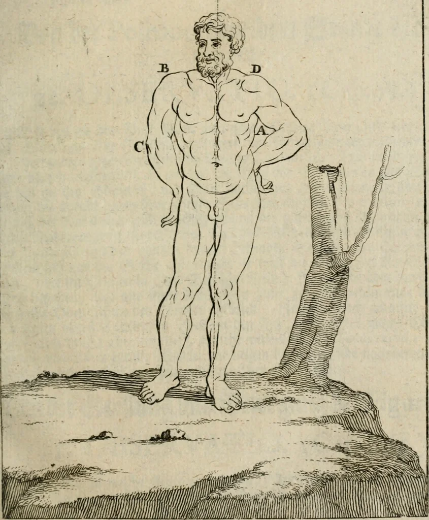 An illustration from Des vortreflichen Florentinischen Mahlers Lionardo da Vinci höchst-nützlicher Tractat von der Mahlerey : aus dem Italiänischen und Frantzöischen in das Teutsche übersetzet : auch nach dem Original mit vielen Kupfern und saubern Holtzschnitten versehen : und mit beygefügten Leben des Auctoris zum Druck befördert, 1747, leaf 84