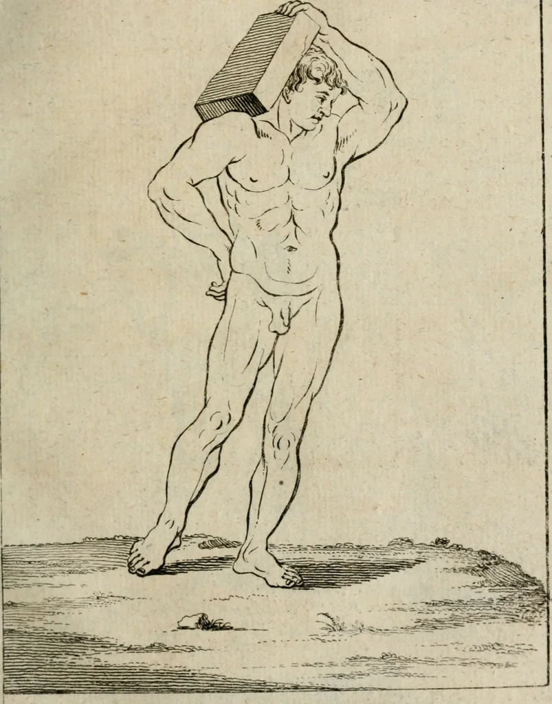 An illustration from Des vortreflichen Florentinischen Mahlers Lionardo da Vinci höchst-nützlicher Tractat von der Mahlerey : aus dem Italiänischen und Frantzöischen in das Teutsche übersetzet : auch nach dem Original mit vielen Kupfern und saubern Holtzschnitten versehen : und mit beygefügten Leben des Auctoris zum Druck befördert, 1747, leaf 96