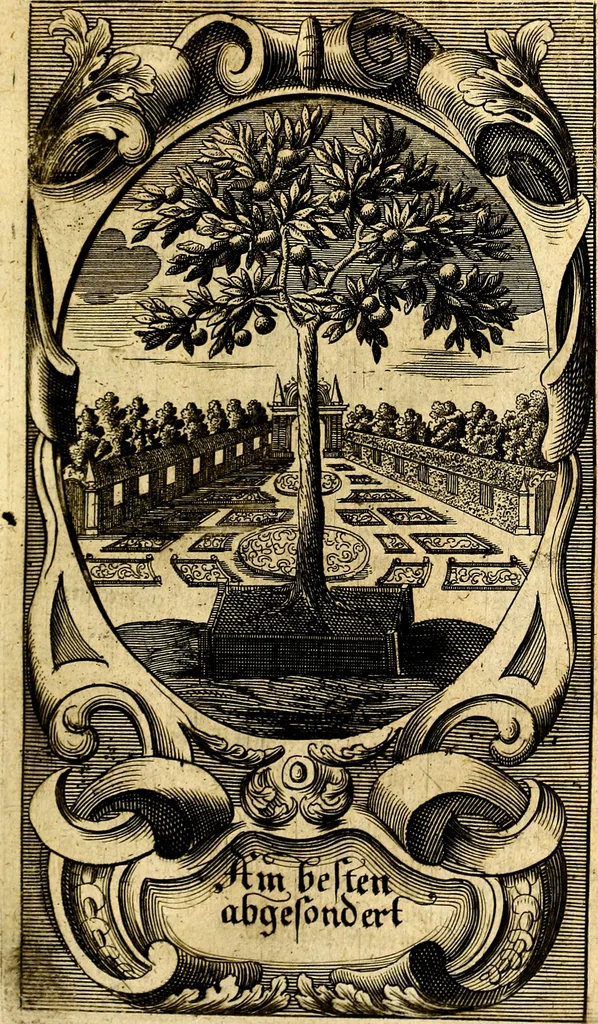 An illustration from Des weiland hocherleuchteten Theologi Herrn Johann Arndten General-Superintendentens des Fürstenthums Lüneburg sämtliche geistreiche Bücher Vom wahren Christenthum : beneben deroselben anhängigen Tractätlein von heilsamer Buss, hertzlicher Reue und Leid über die Sünde und wahrem Glauben, auch heiligem Leben und Wandel der rechten wahren Christen ... über alle bissherige Ausfertigungen auff das aller fleissigste übersehen mit nöthigen Anmerckungen aus dem sel. Herrn Luthero, Dorschæo, Varenio verwahret .., 1707, leaf 218