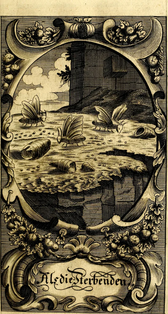 An illustration from Des weiland hocherleuchteten Theologi Herrn Johann Arndten General-Superintendentens des Fürstenthums Lüneburg sämtliche geistreiche Bücher Vom wahren Christenthum : beneben deroselben anhängigen Tractätlein von heilsamer Buss, hertzlicher Reue und Leid über die Sünde und wahrem Glauben, auch heiligem Leben und Wandel der rechten wahren Christen ... über alle bissherige Ausfertigungen auff das aller fleissigste übersehen mit nöthigen Anmerckungen aus dem sel. Herrn Luthero, Dorschæo, Varenio verwahret .., 1707, leaf 416