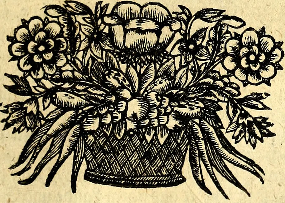 An illustration from Des weiland hocherleuchteten Theologi Herrn Johann Arndten General-Superintendentens des Fürstenthums Lüneburg sämtliche geistreiche Bücher Vom wahren Christenthum : beneben deroselben anhängigen Tractätlein von heilsamer Buss, hertzlicher Reue und Leid über die Sünde und wahrem Glauben, auch heiligem Leben und Wandel der rechten wahren Christen ... über alle bissherige Ausfertigungen auff das aller fleissigste übersehen mit nöthigen Anmerckungen aus dem sel. Herrn Luthero, Dorschæo, Varenio verwahret .., 1707, leaf 702