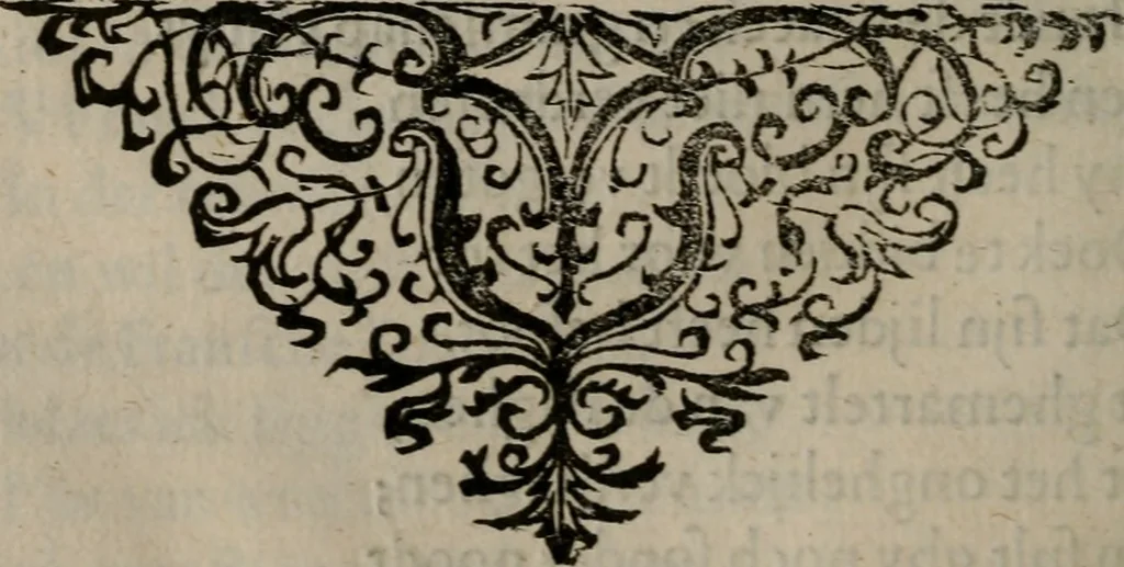 An illustration from Des wereldts proef-steen ofte De ydelheydt door de waerheyd beschuldight ende overtuyght van valscheydt, 1643, leaf 273