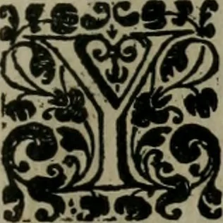 An illustration from Des wereldts proef-steen ofte De ydelheydt door de waerheyd beschuldight ende overtuyght van valscheydt, 1643, leaf 36