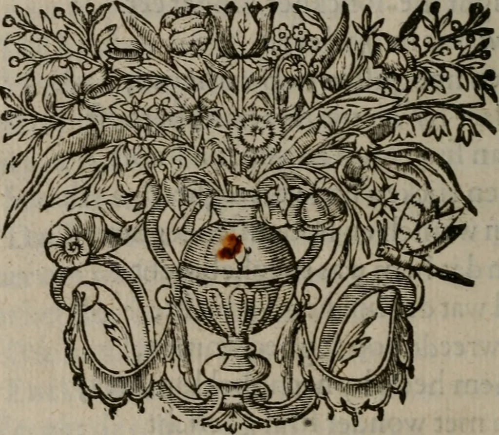 An illustration from Des wereldts proef-steen ofte De ydelheydt door de waerheyd beschuldight ende overtuyght van valscheydt, 1643, leaf 377