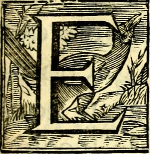 An illustration from Des wereldts proef-steen, ofte, De ydelheydt door de waerheyd beschuldight ende overtuyght van valscheydt, 1643, leaf 8