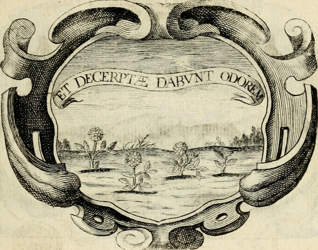 An illustration from De symbolis heroicis libri IX, 1634, leaf 136