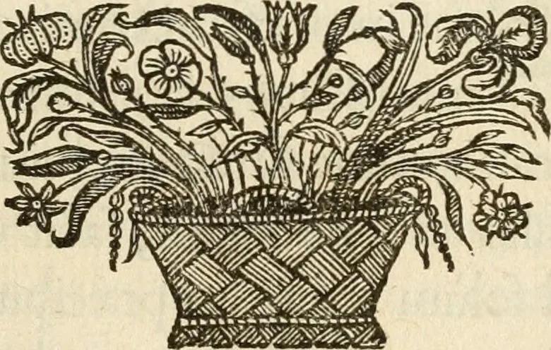 An illustration from De symbolis heroicis libri IX, 1634, leaf 154