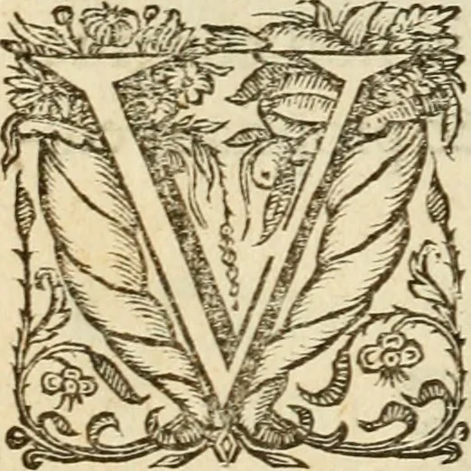 An illustration from De symbolis heroicis libri IX, 1634, leaf 155
