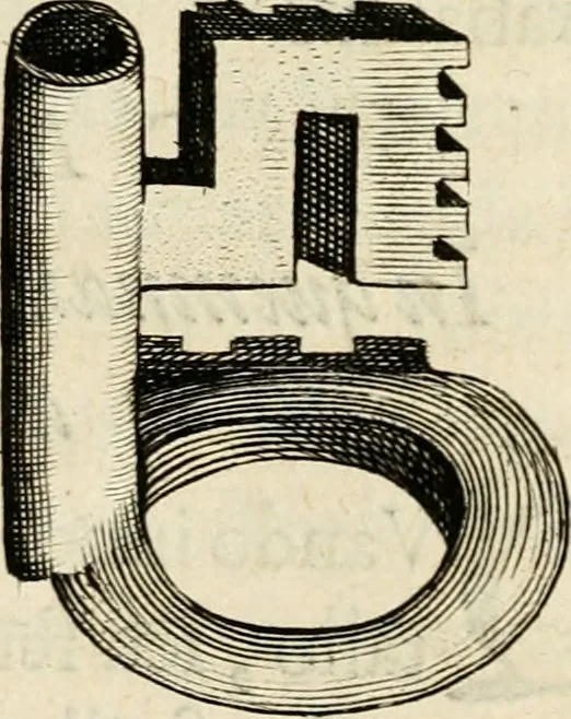 An illustration from De symbolis heroicis libri IX, 1634, leaf 204
