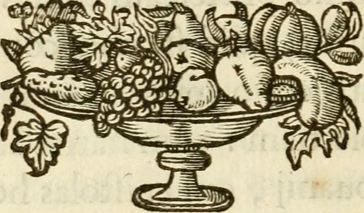 An illustration from De symbolis heroicis libri IX, 1634, leaf 241
