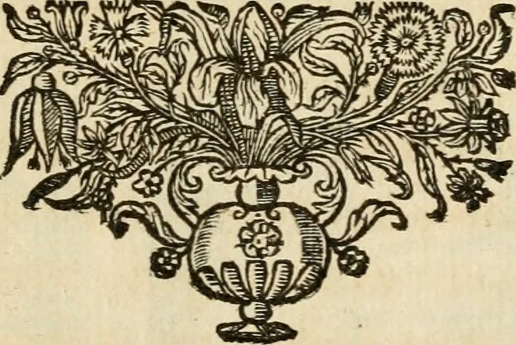 An illustration from De symbolis heroicis libri IX, 1634, leaf 26
