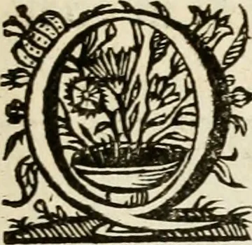 An illustration from De symbolis heroicis libri IX, 1634, leaf 388