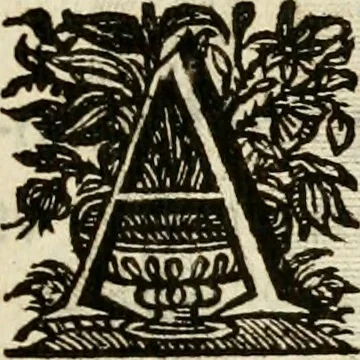 An illustration from De symbolis heroicis libri IX, 1634, leaf 416