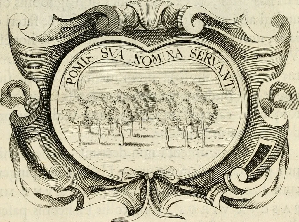 An illustration from De symbolis heroicis libri IX, 1634, leaf 508