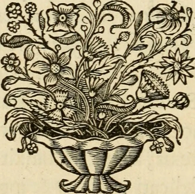 An illustration from De symbolis heroicis libri IX, 1634, leaf 85