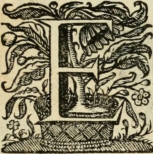 An illustration from De symbolis heroicis libri IX, 1634, leaf 86