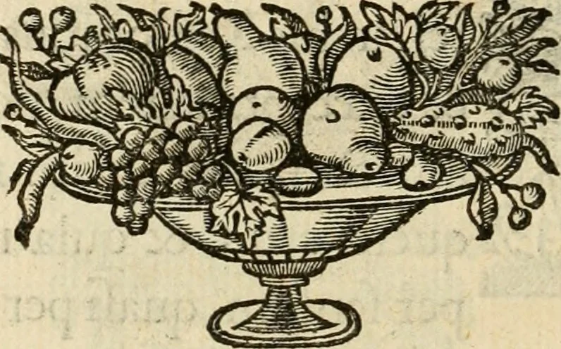 An illustration from De symbolis heroicis libri IX, 1634, leaf 87