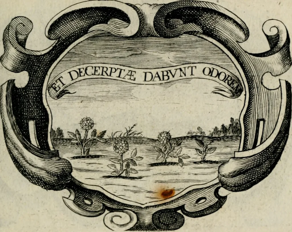 An illustration from De symbolis heroicis, libri IX, 1634, leaf 136