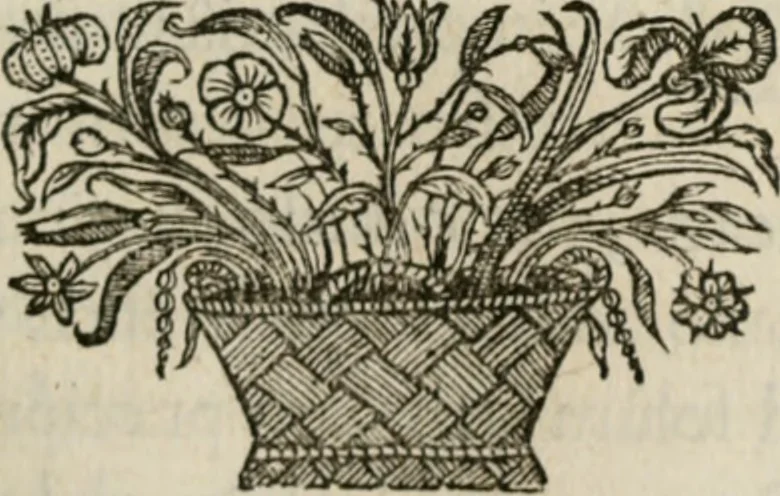 An illustration from De symbolis heroicis, libri IX, 1634, leaf 154