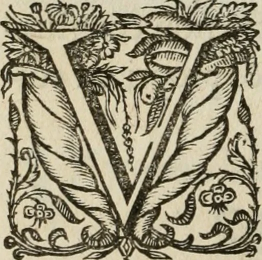 An illustration from De symbolis heroicis, libri IX, 1634, leaf 155