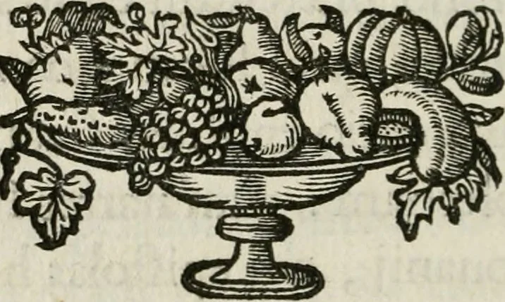 An illustration from De symbolis heroicis, libri IX, 1634, leaf 241