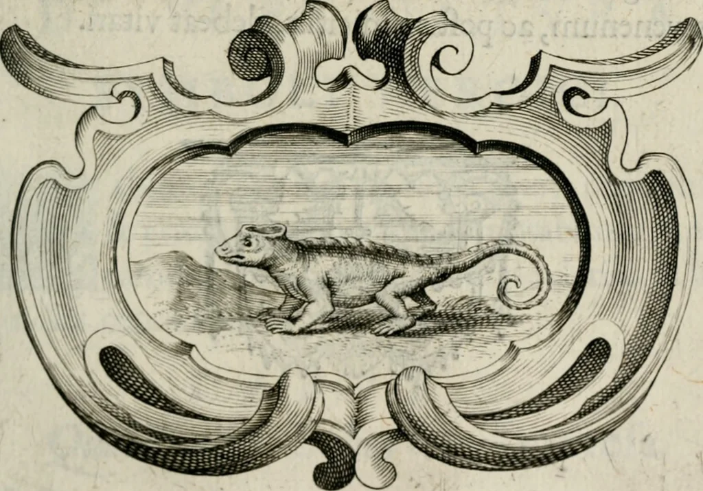 An illustration from De symbolis heroicis, libri IX, 1634, leaf 248