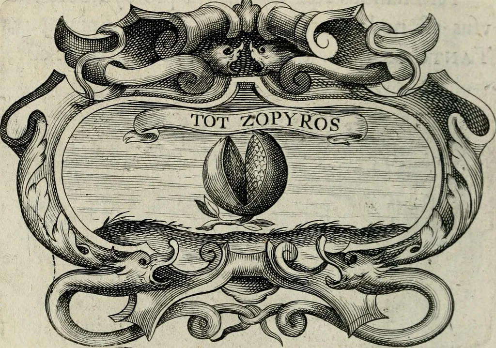 An illustration from De symbolis heroicis, libri IX, 1634, leaf 317