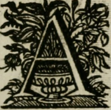 An illustration from De symbolis heroicis, libri IX, 1634, leaf 416