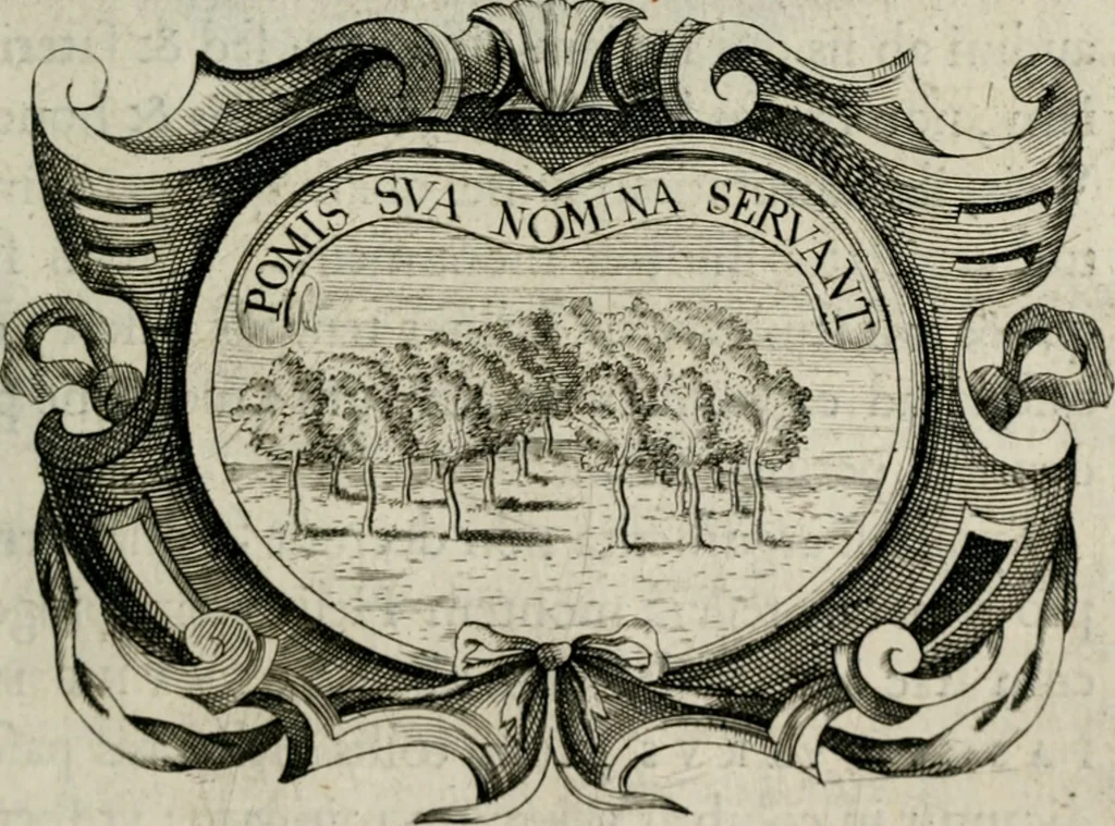 An illustration from De symbolis heroicis, libri IX, 1634, leaf 508