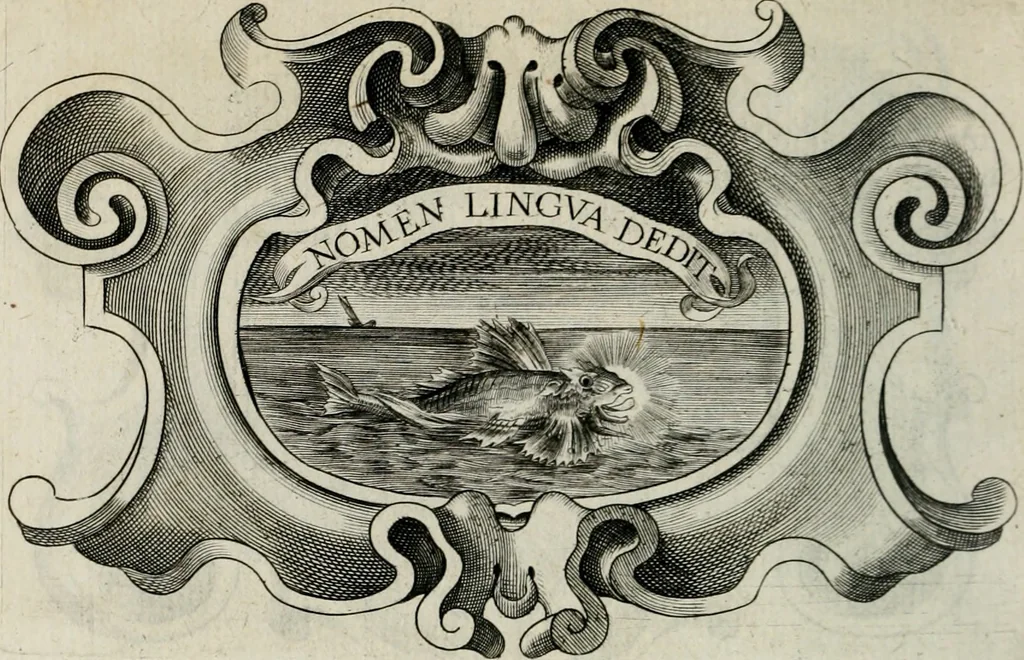 An illustration from De symbolis heroicis, libri IX, 1634, leaf 513