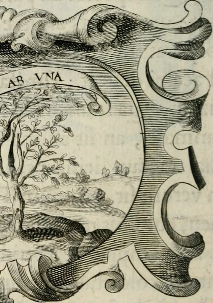 An illustration from De symbolis heroicis, libri IX, 1634, leaf 539